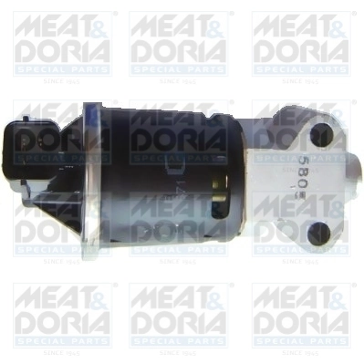 EGR Valve